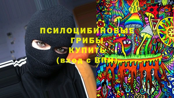 бошки Балахна
