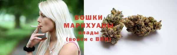 PSILOCYBIN Балабаново