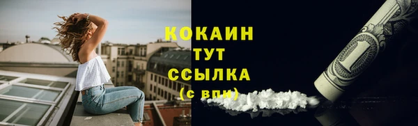 PSILOCYBIN Балабаново