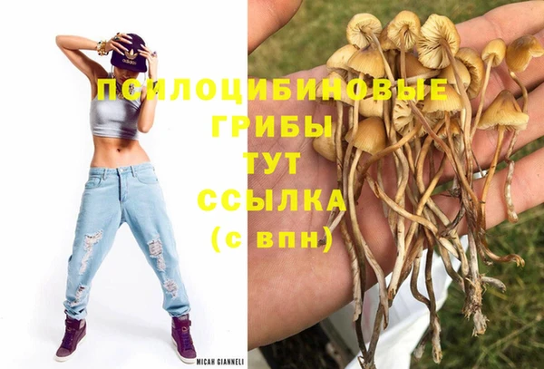 PSILOCYBIN Балабаново