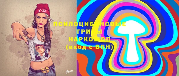 бошки Балахна