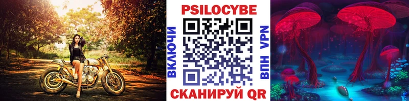 Псилоцибиновые грибы Cubensis Усть-Джегута